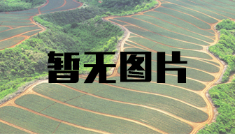 內蒙古自治區黨委督查室聯(lián)合調研組深入華歐淀粉公司調研