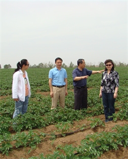 周慶鋒董事長(cháng)陪同商務(wù)部產(chǎn)業(yè)損害調查局顧春芳局長(cháng)馬鈴薯產(chǎn)區核查